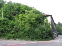 b_200_150_16777215_00_images_stories_grafiken_inhalt_web_natur_umwelt_03.jpg